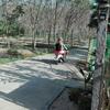Nakhon Si Ban Na Homestay