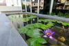 Hotel Matini Premium @ Klong 1