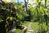 Pumpkin Village Ubud