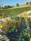 Bed & Breakfast Le Moulin De L'etang