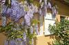 B&B La Cerisaie