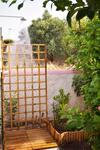 Urban Nature
