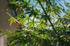 Forest Villa Yugawara - Vacation Stay 75640v