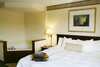 Hotel Hampton Inn Marietta