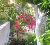 Apartamento Dielino Amazing Sunset View