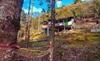 Village Life Homestay Alleydara