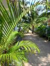 Agroturismo Sweet Home Phangan.