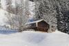 Apartamento Appartements Moser