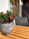 Apartamento Appartement Vierthaler