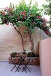 Apartamento Historical Center House (Poem)