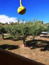 Apartamento Farma Giannis