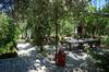 Hostal Garden Guesthouse