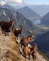 Apartamento Appartement Mountain Lake