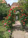 Apartamento Gites La Cour Zaepffel
