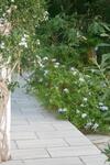 Zorzis Hotel -adults Only
