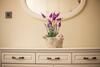 Casa De Raphael - Luxury Spa Apartment