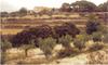 Casa Rural Mas�a Barbera