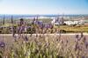 Apartamento Naxos View