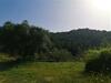 Wood & Stone Dream View House A