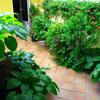 Hostal Escart�n