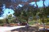 Apartamento Blue Cave Studios - Barbaressa