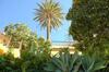 Hotel Jard�n Concha