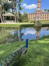 Apartamento Le Bali Ambiance Zen, Calme, S�curis�, 2/4 Pers