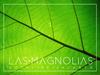 Hotel Las Magnolias