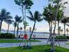 Apartamento C?n H? 3pn View Bi?n C?c Xinh