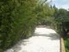 Agroturismo Tenuta Venezia