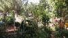 Agroturismo Tenuta Venezia