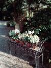 Country Hotel Ristorante Querce