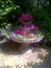 Country Hotel Ristorante Querce