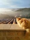 Bed & Breakfast Chambre D'h�tes Cottes