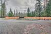 Secluded Ashford Getaway With Fire Pit And Grill!