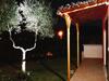 B&B A Lu Ponti