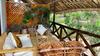 Hotel Atii Garden Bungalows