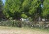 Agricampeggio La Pineta