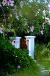 Hostal Whispering Oaks Guest House