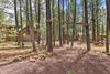 Pinetop Cabin With Deck, Private Loft, Fire Pit