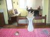#family_house#big_house#ikaria#