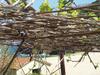 #family_house#big_house#ikaria#