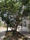 Apartamento Lina