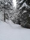 Apartamento Le Cleuset, Appartement 59, Torgon Schweiz