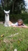 Lodge Hotel Orqu�deas Runtun