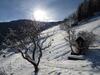 Hotel Berggasthof H�usler