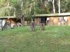 Lodge Woodbine Park Eco Cabins