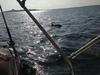Boat & Sailing Torregrande Sinis Yachting