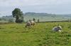 Bed & Breakfast Escale En Charolais Brionnais