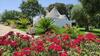 Agroturismo Agriturismo Masseria Casedde Vecchie